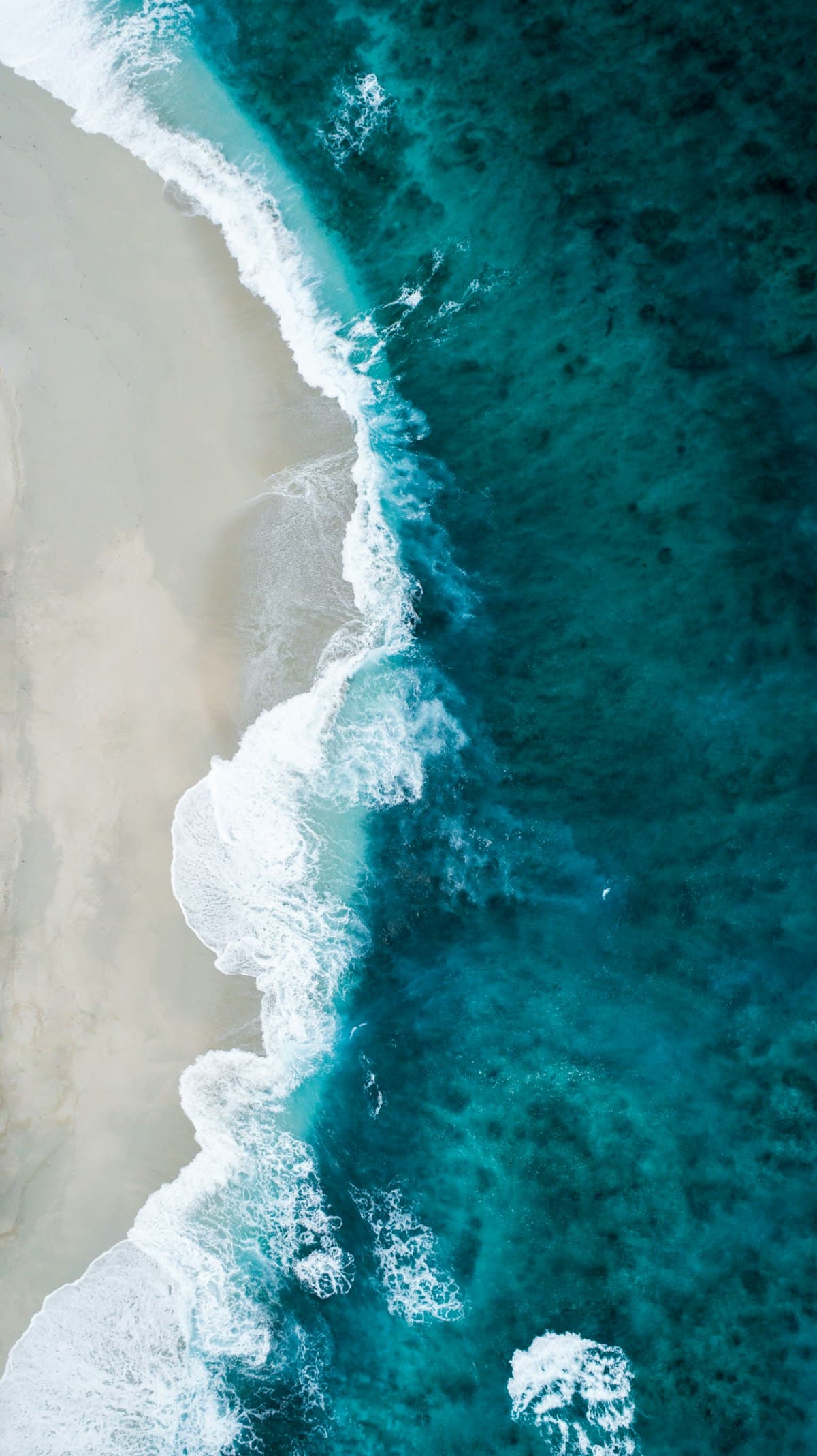 Sand dunes along the Eastern Carolina coast